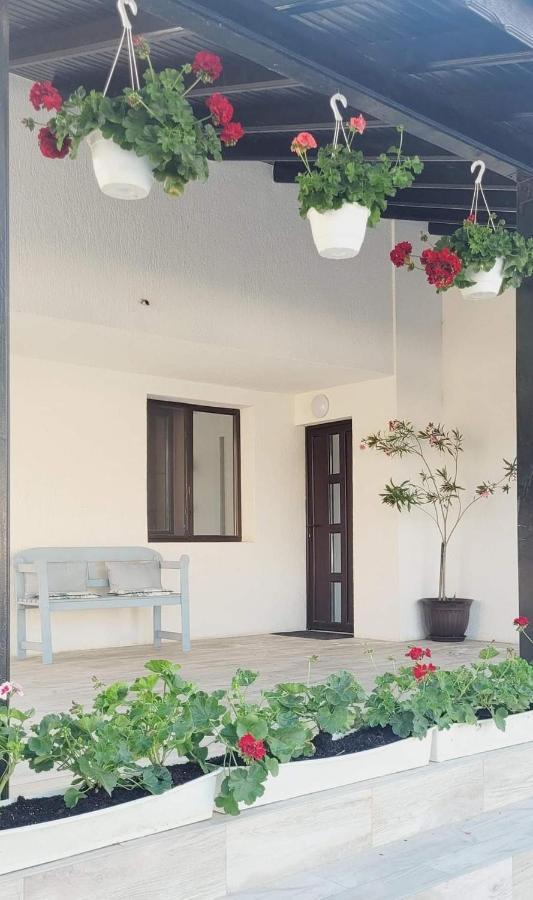 Hotel Casa Domneasca Giurgiu Exterior foto